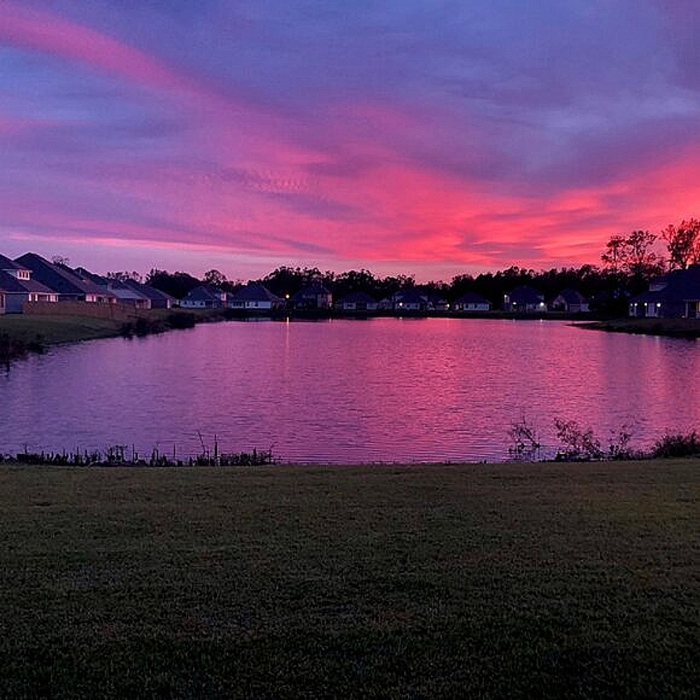 Canvas Print: "Hope for Lavender Skies" (Available Size: 16x20)
